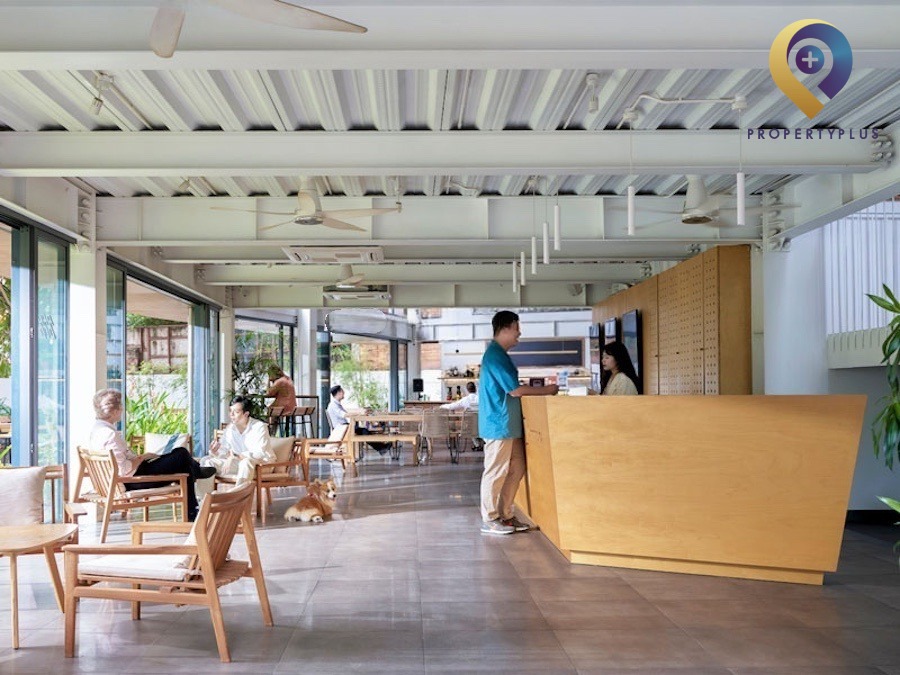 Dreamplex Ngô Quang Huy